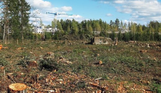 動産活用 再建築不可を建築可能にする（２）市街化調整区域編